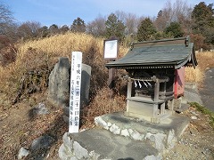 �Α����c�_����