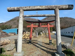 �H���_�Ђ̒���