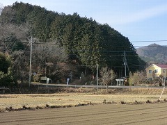 �{�ԍ�e���ٓ���