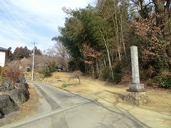 �叼���Q��