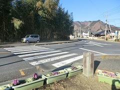 �{�ԍ�̓��W