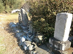 �ʋ�����