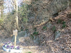 ���邷�݂̒���