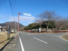 ���É��X�ь�������