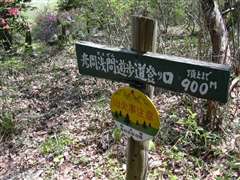 �{�ԍ����