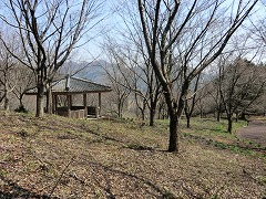 �����܂�