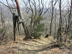 ����J�ˌ�������