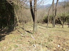 ����J�ˌ���