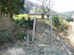 �H�t�_�В���