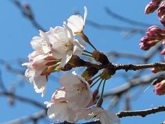 ��������J�ԊԂ��Ȃ���