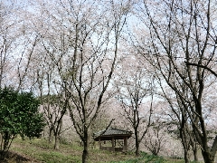 ��������T�N�����J