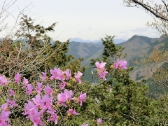 �~�c�o�c�c�W�@�j�̎R