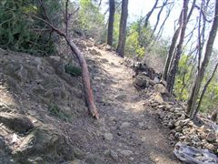 �E��̎R����