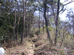 ���邢������