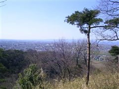 ���c�s�X�̓W�]