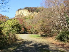 �f�R�̂���L��