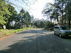 �H���̍L����