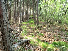 �E�̓��ݐՂ̎R��