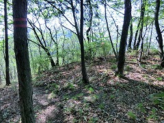 �s�[�N���z��