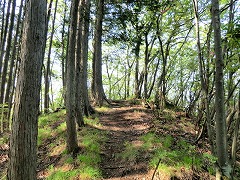 �S�Q�T���s�[�N�֌�����