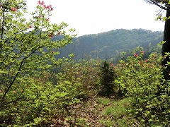 ���̓W�]���J����