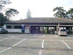 ���X�g�n�E�X