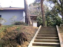 ���̊ہi���̊ۃ��b�W�j