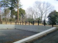 ��P��a�i����N�̉ƐՁj