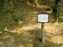 ������̔n��