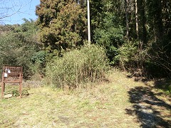 �C�m�V�V�ߊl�p�B