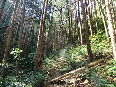 ���ؗ��̎R��