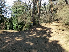 �����u����