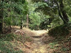 �~�ь�������̓��Ƃ̍����_