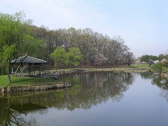 �䏊���ƍ�