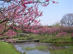 �ԓ��Ə�~�V�̒r