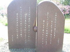 �ᐙ���q�E���ː߉̔�