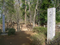 �É͌����ِ�