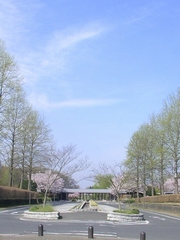 �É͑��������p�[�N�t�����g