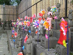 ���q�n��