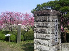 �������和