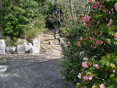 ����̗���