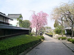 �L�O�ق̐��_