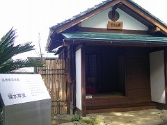 �������Ή掺