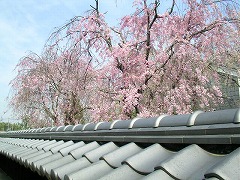 �O�z���̍�