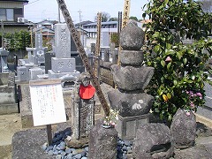 ���y�̕����{��