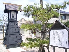 �����X��