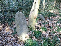 �|�ꂽ�M�\��