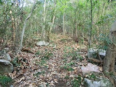 �����̍M�\��