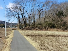 �Β��̗��o�R����