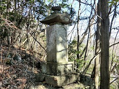 �V�W�̂���M�\��